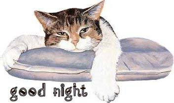 good-night-23.jpg