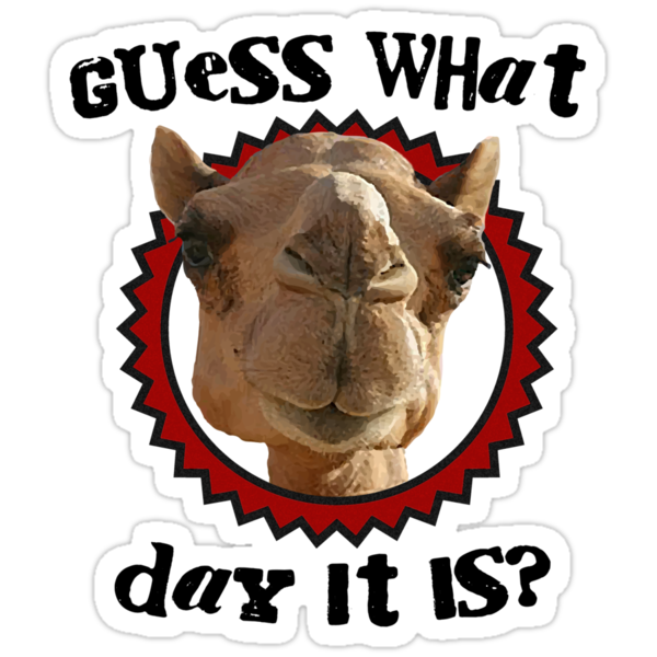sticker,375x360.u1.png