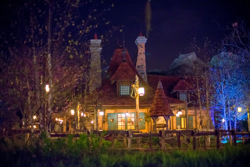 DSC_7466-L.jpg