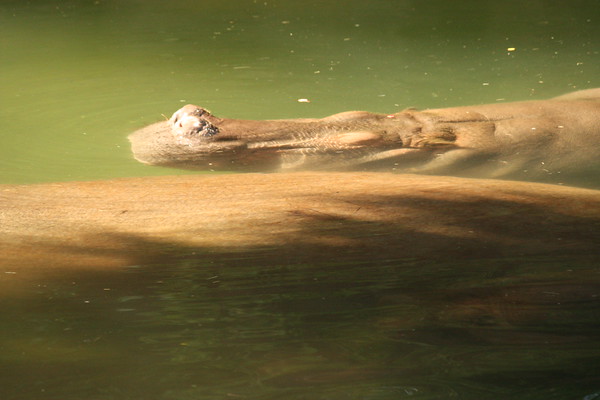 600672477_wVbPg-M.jpg