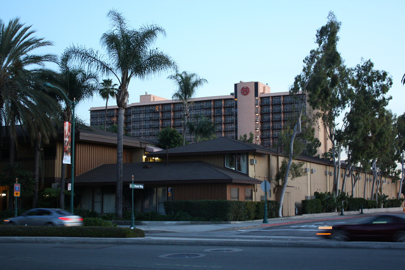 IMG0348-L.jpg