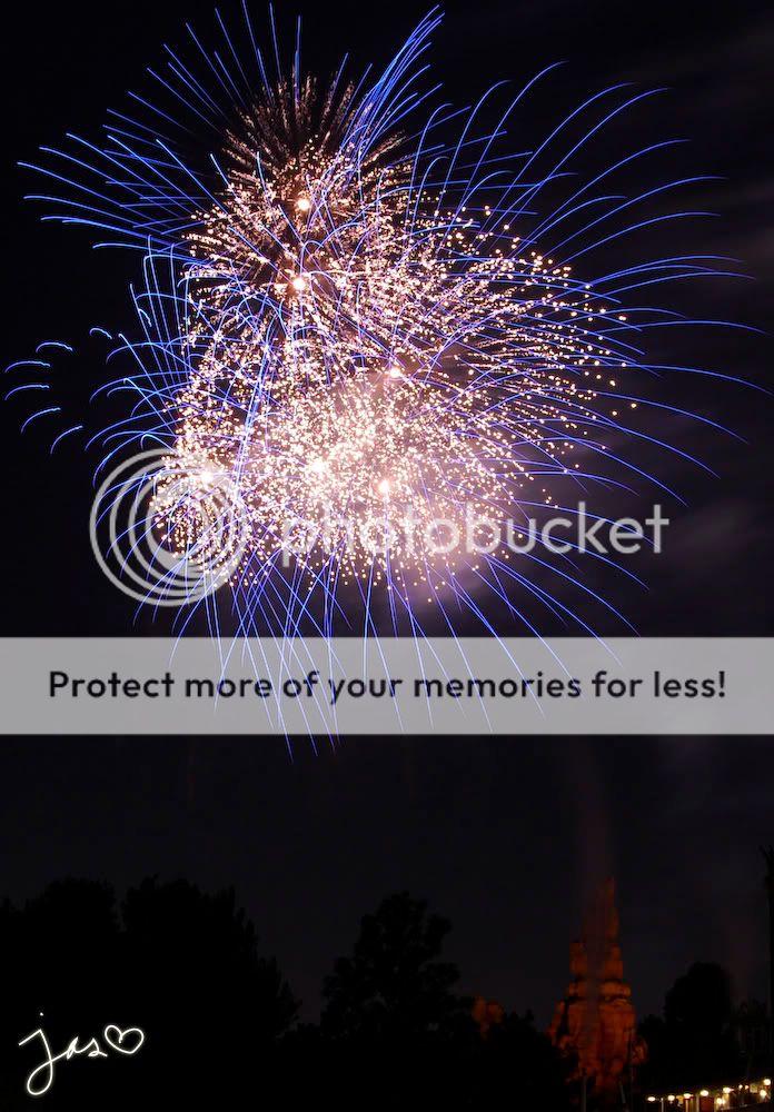 fireworks-11-2sig.jpg