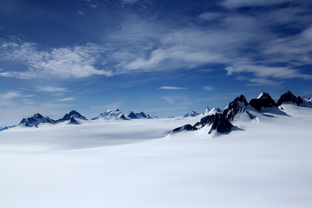IMG_6717_1-12x8-XL.jpg