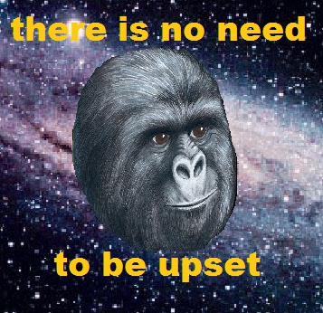 tumblr_m4jvsfEz5Z1qafmk8o1_400.png