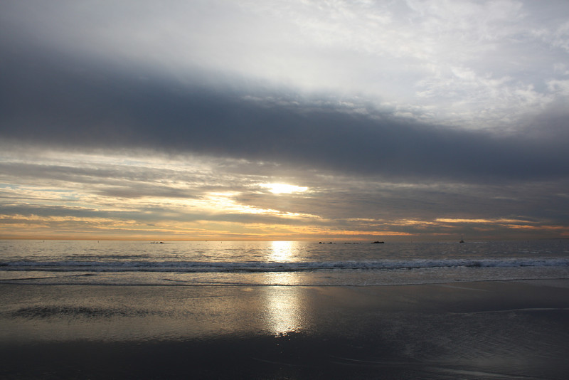 IMG_1083-L.jpg