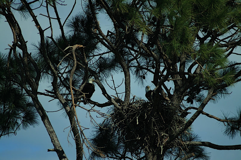 Picture%20077.jpg