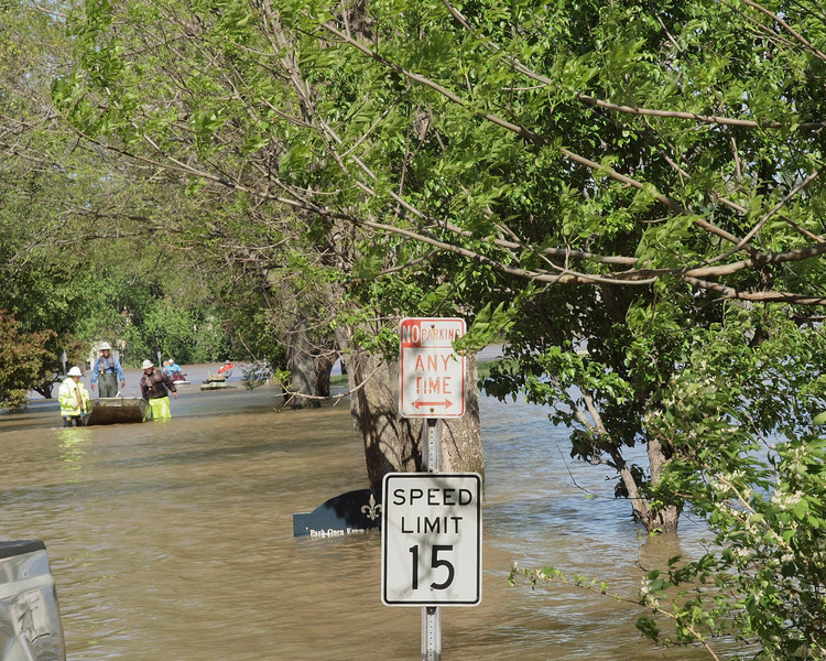 Flood-4288422-L.jpg
