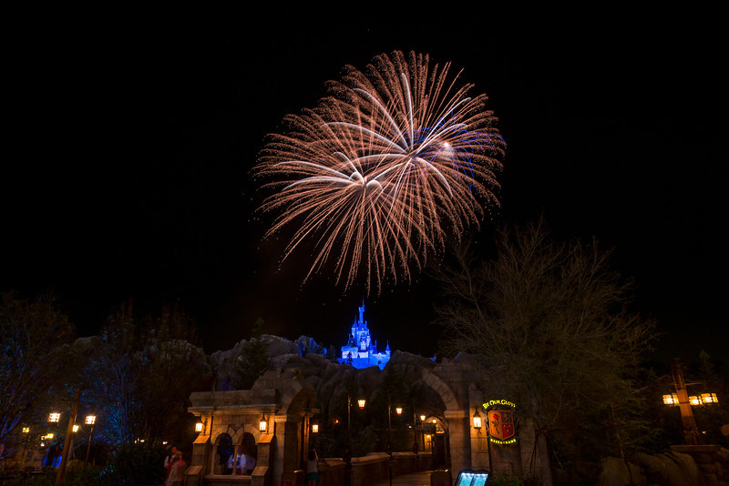 DSC_7437-L.jpg
