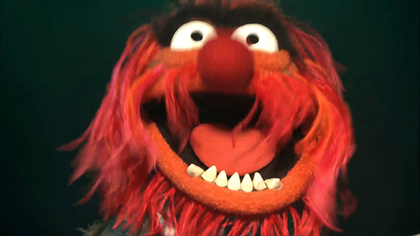 animal-gif-muppet-gif.gif