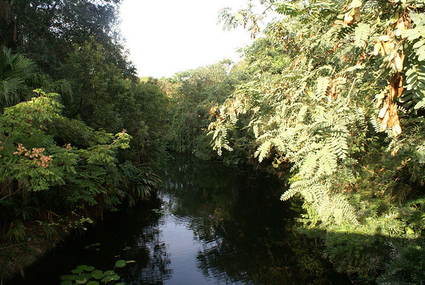411638523_PVjhQ-M.jpg