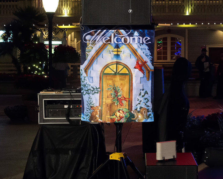 IMG_8450ed-L.jpg