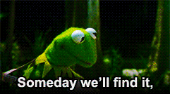 tumblr_ls21z9IeUC1ql2yzeo1_250.gif
