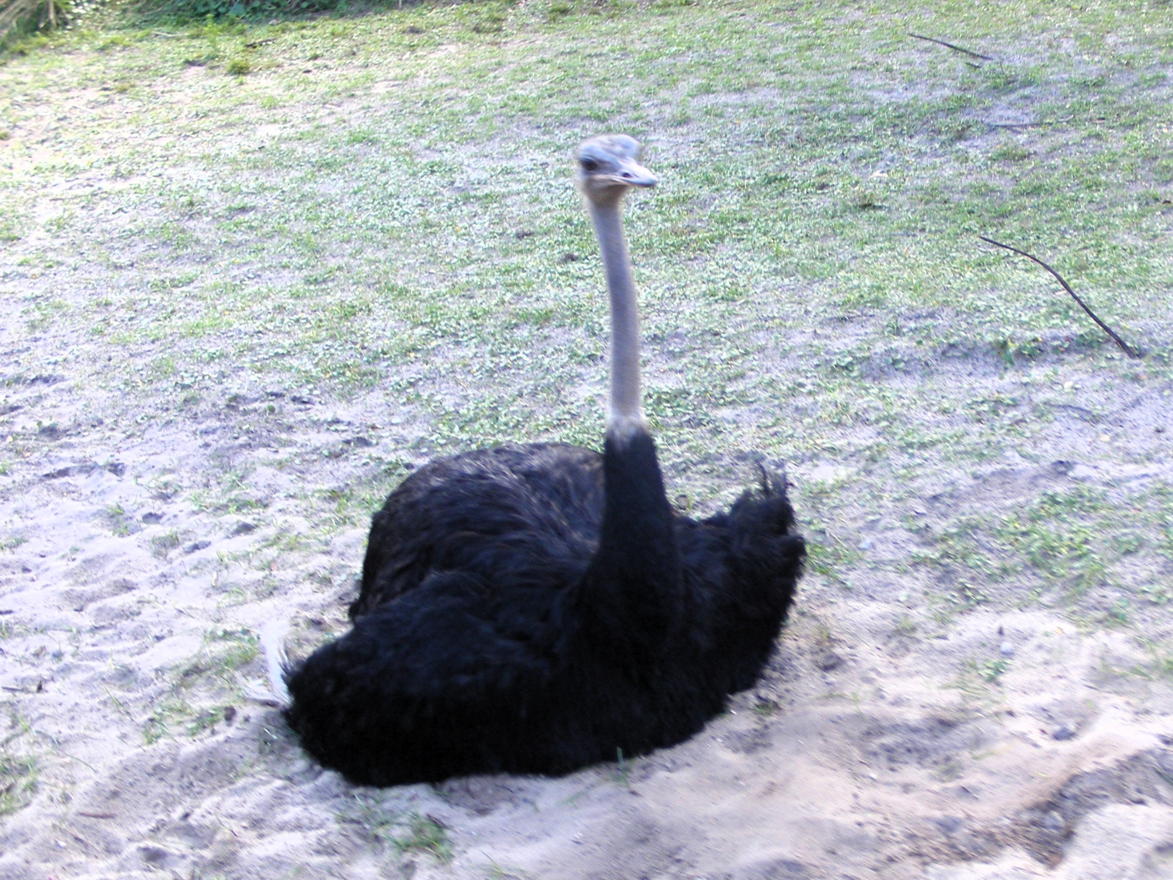 DSCF4930.jpg