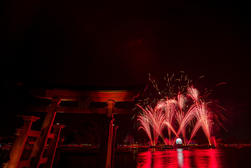 DSC_2594-L.jpg