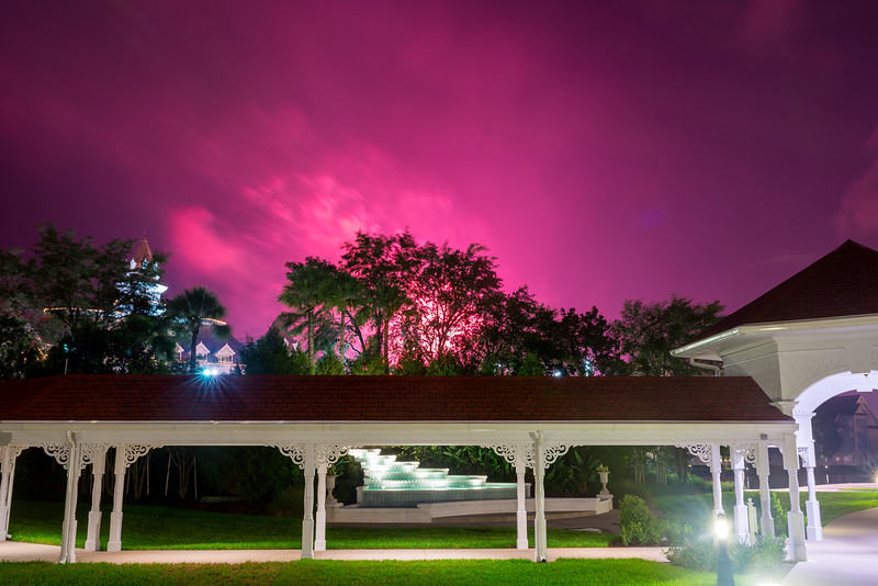 DSC_9619-L.jpg