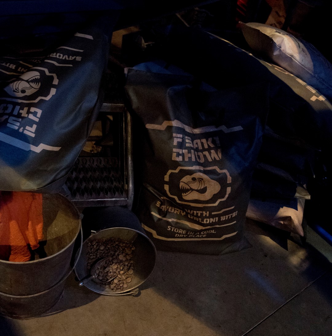 DSC_3039%20(Large).jpg