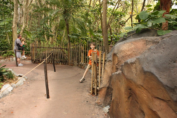 499684453_qGjg6-M.jpg