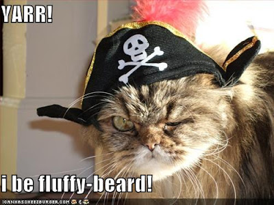 pirate-cat3.jpg