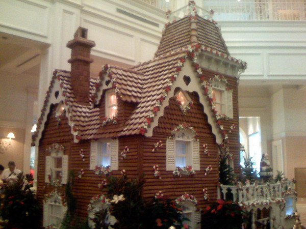 365431497_uYYKi-M.jpg