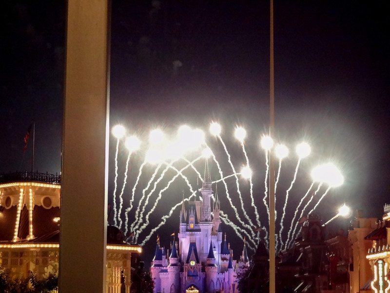 DSC01950-L.jpg