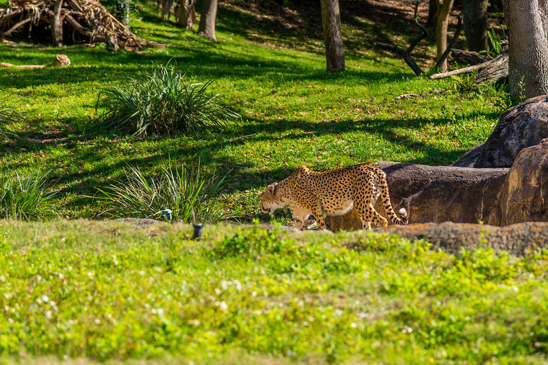 DSC_7973-L.jpg