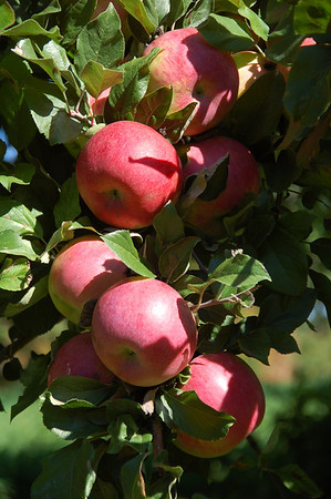 389687385_x3Nz9-M.jpg