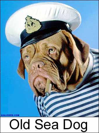 old_sea_dog.jpg