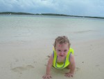 DSCN3196.thumb.jpg
