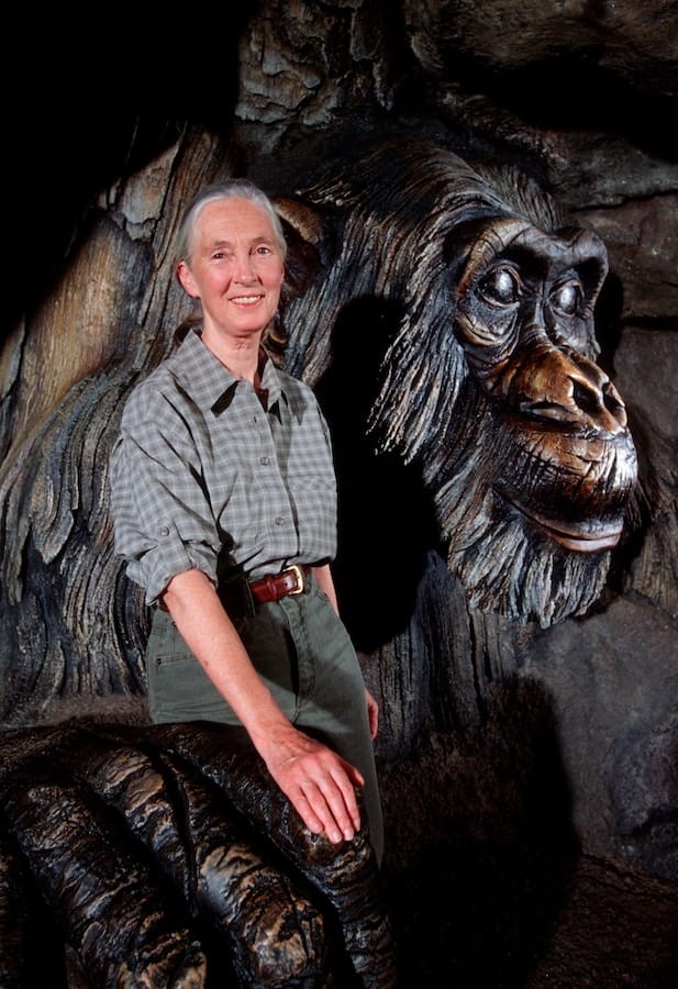 A smiling woman stands by a large gorilla statue in a cave-like setting, evoking Jane Goodall’s legacy.