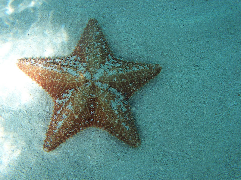 Picture%20147.jpg