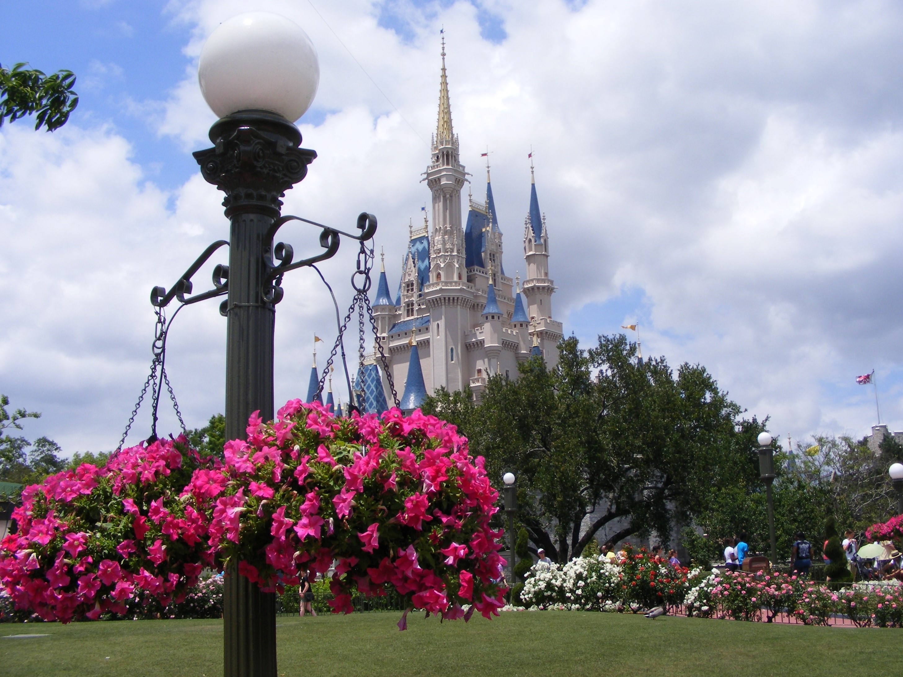 9976872755-ab5295ef35-o.jpg