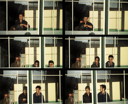 tumblr_ln9ocooNL41qblu20o1_500.gif