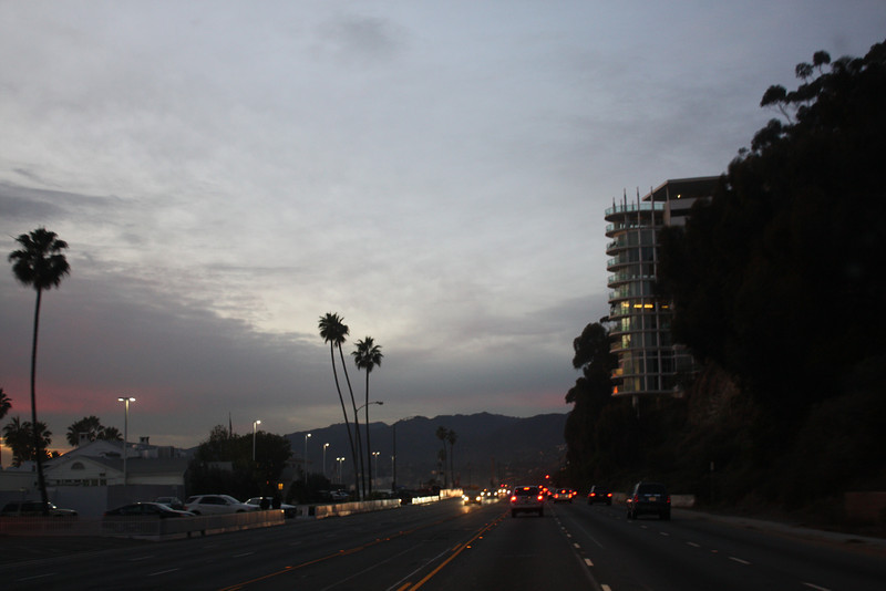 IMG_1125-L.jpg