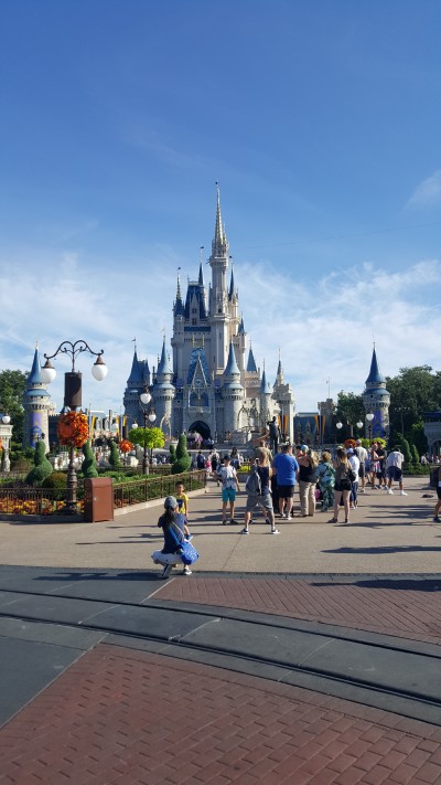 20180821-092039.jpg