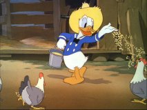 donald35.jpg