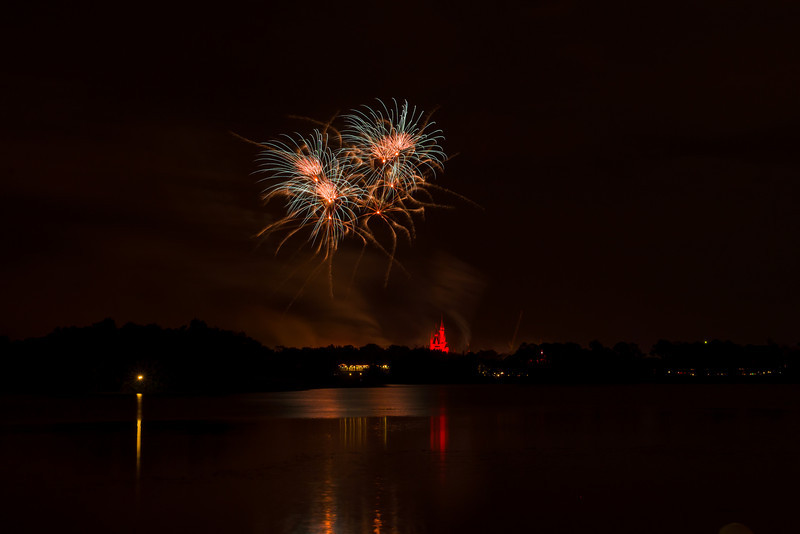 DSC_1556-L.jpg