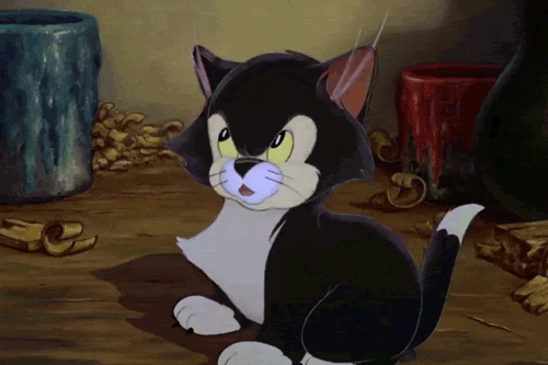 tumblr_ml6o64kvM81rzcy0to1_500.gif