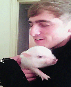 tumblr_lzb2f7sKzO1qeeagco4_250.gif