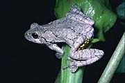 ar0020_1lg.jpg