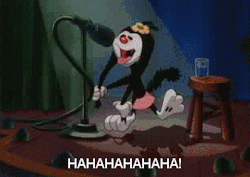 tumblr_lp1x65hT3g1qkj77do18_r2_250.gif