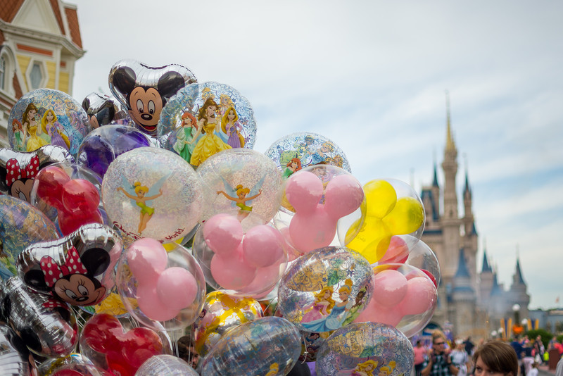 DSC_1821-L.jpg