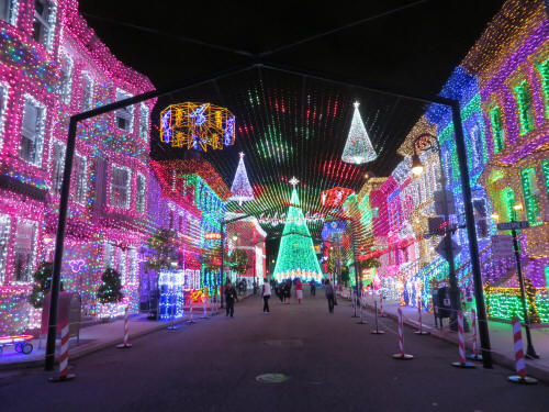 WDW_Dec_%202015_0269.jpg