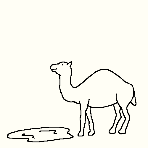 Weird Camel GIFs - Get the best GIF on GIPHY