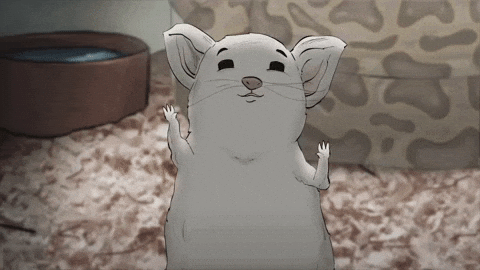 3ornjHDjS8z9O4TTgY.gif