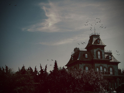 tumblr_lojp9sPnbh1qctw3so1_500.jpg