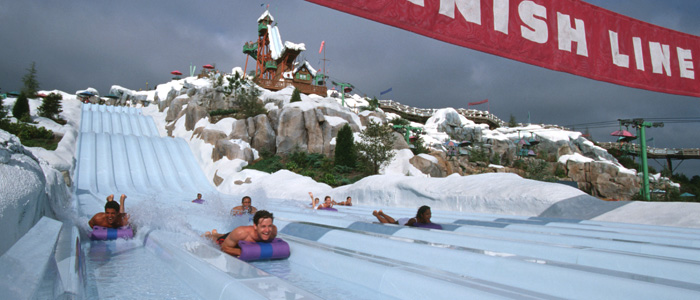 BlizzardBeachTobogganRacers_700.jpg
