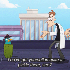 tumblr_lyj1jrY6NR1qb6qtgo3_250.gif