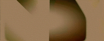 CJSsig2_P3.gif