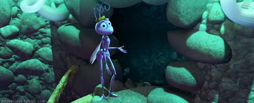 tumblr_lzvqfzoeZT1r0bf1eo1_500.gif