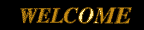 Welcome-11-june.gif